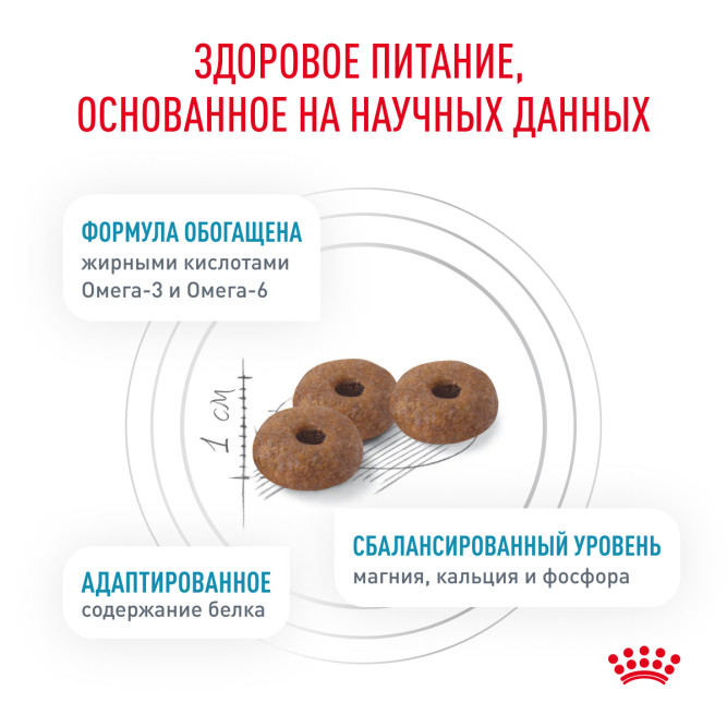 Royal Canin Skin &amp; Coat сухой диетический корм для взрослых стерилизованных кошек для поддержания защитных функций кожи - 350 г