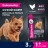 Eukanuba Adult Small Breed 1+ Years сухой корм взрослых собак мелких пород - 3 кг