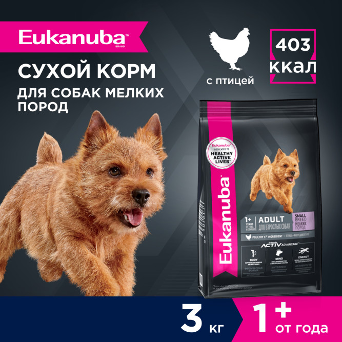 Eukanuba Adult Small Breed 1+ Years сухой корм взрослых собак мелких пород - 3 кг