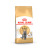 Royal Canin British Shorthair 34 для породы Британская короткошерстная старше 12 мес - 4 кг