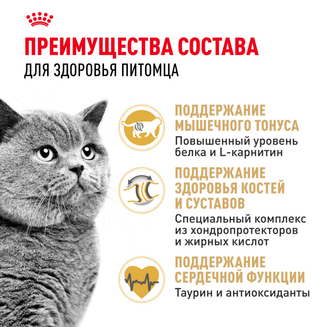 Royal Canin British Shorthair 34 для породы Британская короткошерстная старше 12 мес - 4 кг