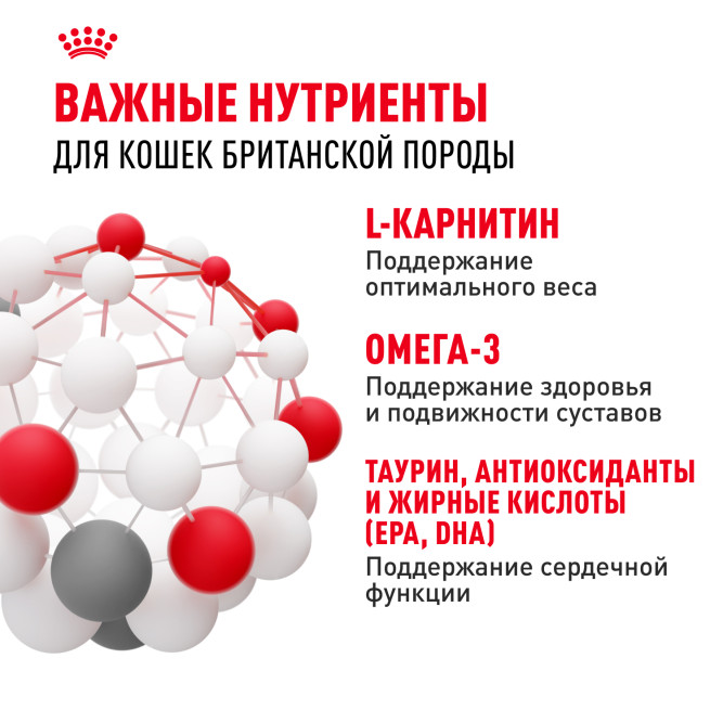 Royal Canin British Shorthair 34 для породы Британская короткошерстная старше 12 мес - 4 кг