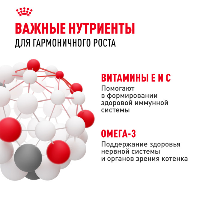 Royal Canin Kitten влажный корм котят до 12 месяцев кусочки в соусе, в паучах - 85 г х 28 шт