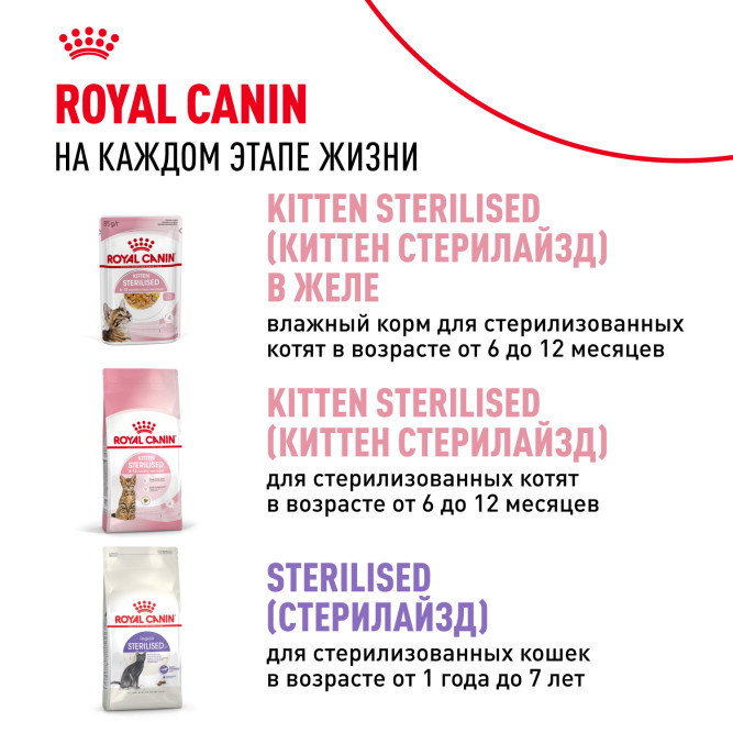 Royal Canin Kitten влажный корм котят до 12 месяцев кусочки в соусе, в паучах - 85 г х 28 шт