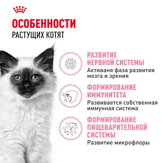 Royal Canin Kitten 34 сухой корм для котят от 4 до 12 месяцев с птицей - 300 г