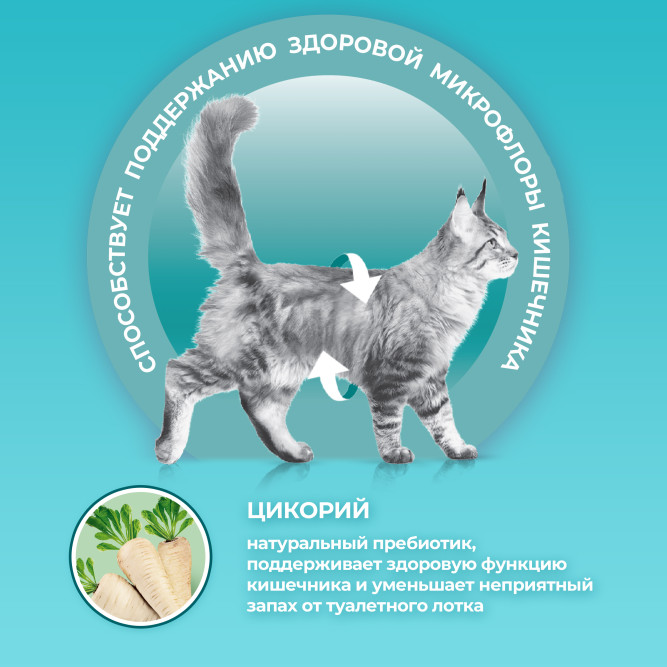 Purina One сухой корм для домашних кошек, с высоким содержанием индейки и цельными злаками - 9,75 кг