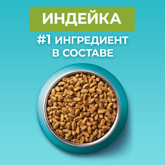 Purina One сухой корм для домашних кошек, с высоким содержанием индейки и цельными злаками - 9,75 кг