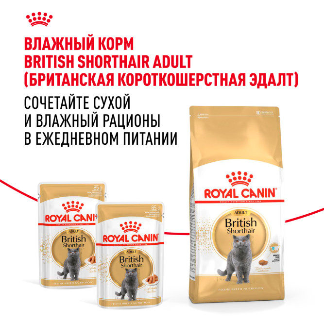 Royal Canin British Shorthair сухой корм для взрослых кошек породы британская короткошерстная - 400 г