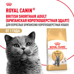 Royal Canin British Shorthair сухой корм для взрослых кошек породы британская короткошерстная - 400 г