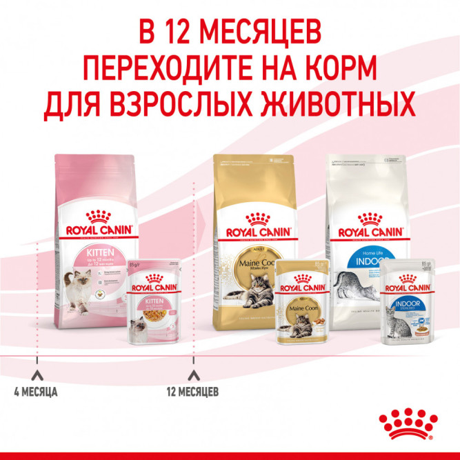 Royal Canin Kitten влажный корм котят до 12 месяцев кусочки в желе, в паучах - 85 г х 28 шт