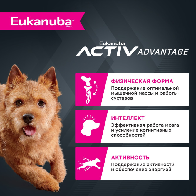Eukanuba Adult Small Breed 1+ Years сухой корм взрослых собак мелких пород - 15 кг