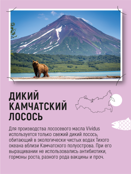 Vividus кормовая добавка для животных масло дикого лосося - 100 мл