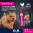 Eukanuba Adult Small Breed 1+ Years сухой корм взрослых собак мелких пород - 800 г