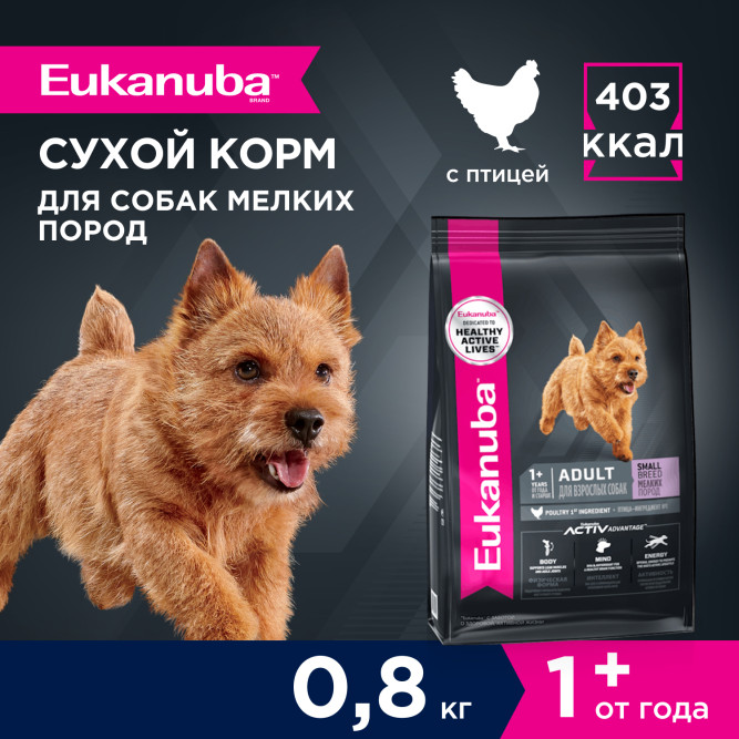 Eukanuba Adult Small Breed 1+ Years сухой корм взрослых собак мелких пород - 800 г