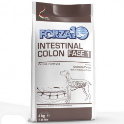 Forza10 Intestinal colitis Fase полнорационный диетический корм для взрослых собак, с рыбой - 10 кг