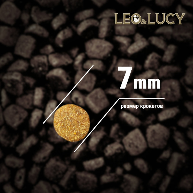 LEO&amp;LUCY cухой холистик корм для котят с индейкой и овощами - 400 г