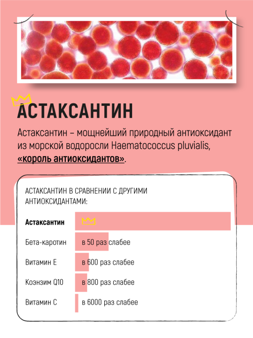 Vividus кормовая добавка для животных масло дикого лосося с астаксантином - 100 мл