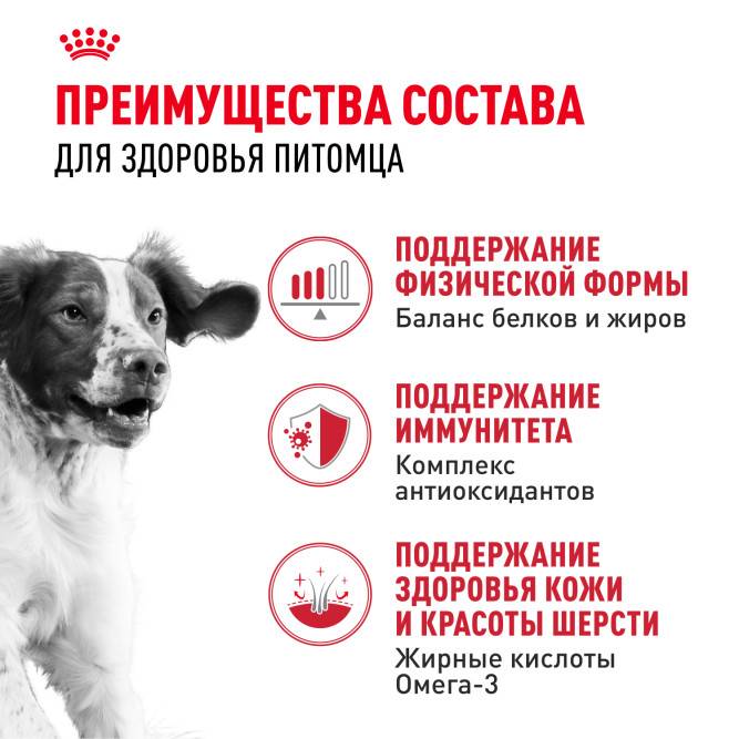 Royal Canin Medium Adult сухой корм для взрослых собак средних пород - 15 кг