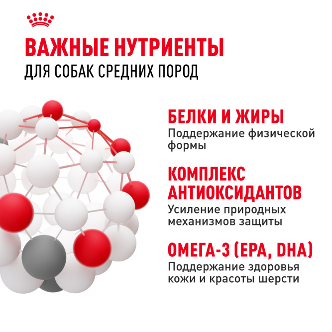 Royal Canin Medium Adult сухой корм для взрослых собак средних пород - 15 кг