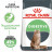 Royal Canin Digestive Care сухой корм для взрослых кошек с расстройствами пищеварительной системы - 10 кг