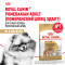Royal Canin Pomeranian Adult сухой корм для собак породы померанский шпиц в возрасте от 8 месяцев - 1,5 кг