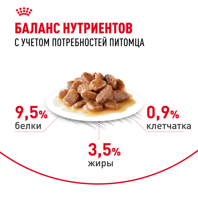 Royal Canin Digestive Care влажный корм для взрослых кошек с чувствительным пищеварением, в паучах, в соусе - 85 г х 28 шт