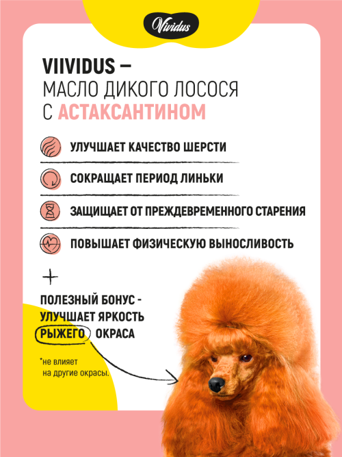 Vividus кормовая добавка для животных масло дикого лосося с астаксантином - 250 мл