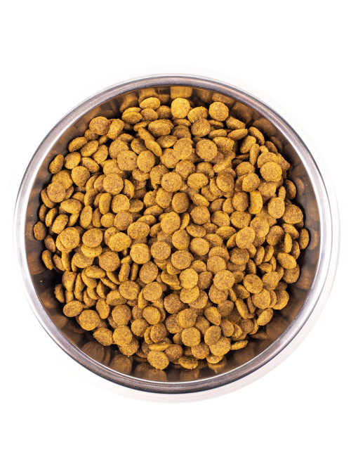 Monge Cat Monoprotein Sterilised сухой корм для взрослых стерилизованных кошек с форелью - 10 кг