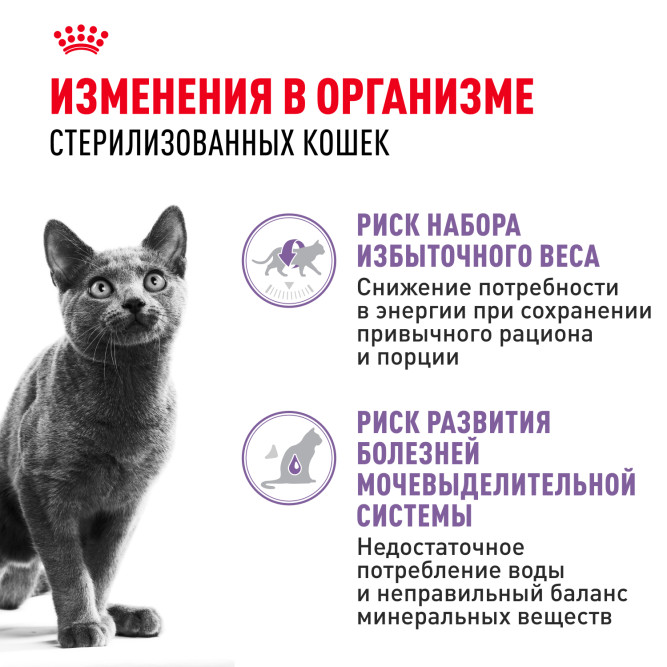 Royal Canin Sterilised влажный корм стерилизованных кошек кусочки в соусе, в паучах - 85 г х 28 шт