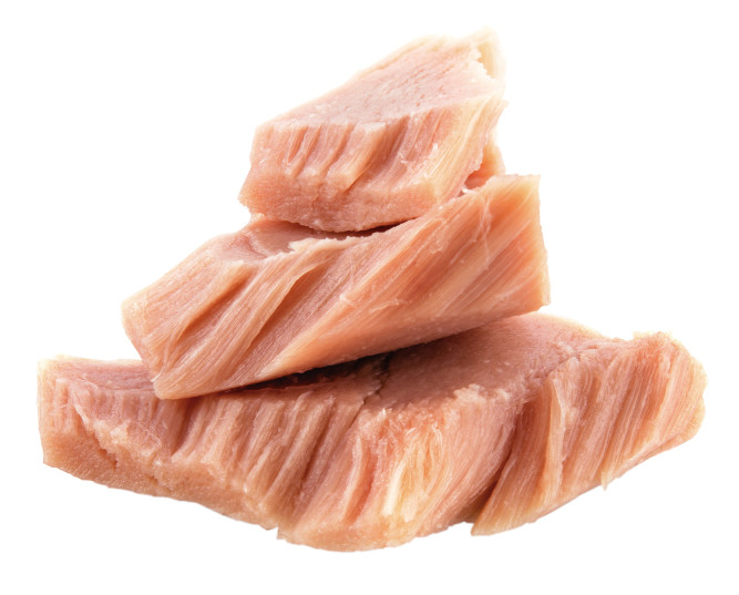 Деревенские лакомства для кошек "Филе тунца нежное" - 10 г