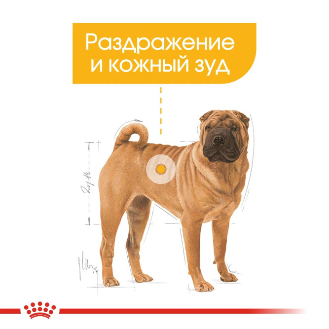 Royal Canin Medium Dermacomfort сухой корм для собак средних пород с раздраженной и зудящей кожей - 10 кг