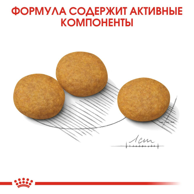 Royal Canin Medium Dermacomfort сухой корм для собак средних пород с раздраженной и зудящей кожей - 10 кг