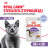 Royal Canin Sterilised влажный корм стерилизованных кошек кусочки в желе, в паучах - 85 г х 28 шт