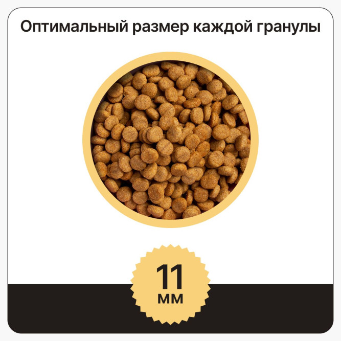 Дворянин Холистик сухой корм для щенков крупных пород с уткой и говядиной - 2,5 кг