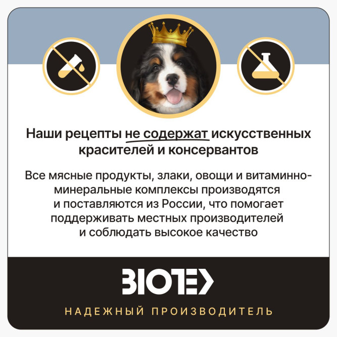 Дворянин Холистик сухой корм для щенков крупных пород с уткой и говядиной - 2,5 кг