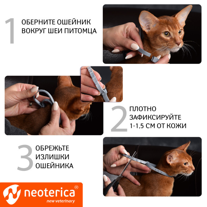 Rolf Club 3D Ошейник для котят от клещей, блох, вшей, власоедов 40 см