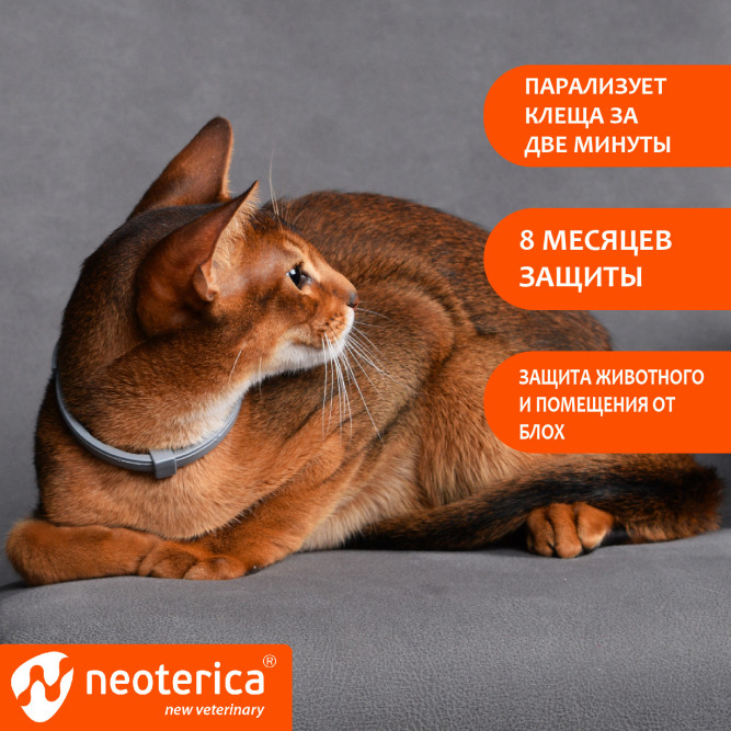 Rolf Club 3D Ошейник для котят от клещей, блох, вшей, власоедов 40 см