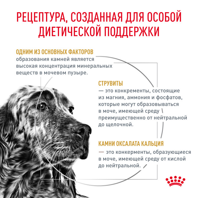 Royal Canin Urinary S/O сухой диетический корм для взрослых собак при МКБ - 2 кг