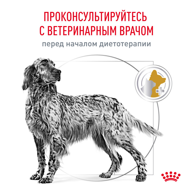 Royal Canin Urinary S/O сухой диетический корм для взрослых собак при МКБ - 2 кг