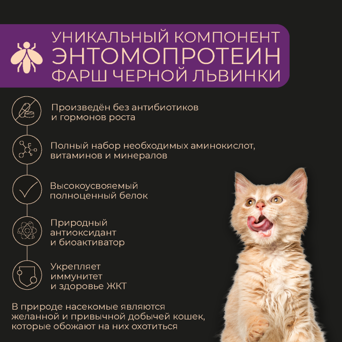 Yumster влажный корм для котят с рыбой в соусе, в паучах - 85 г х 12 шт