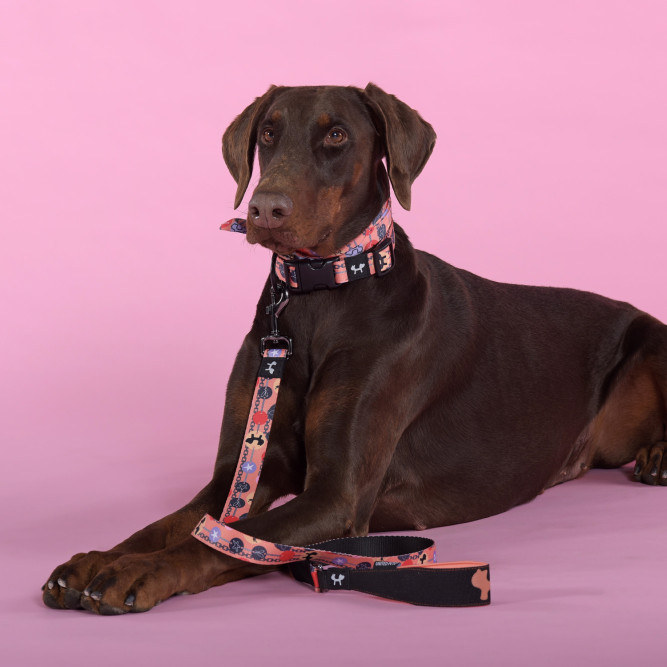 United Pets Complete me Forever поводок для собак, 140 см, 16 мм, оранжевый с рисунком