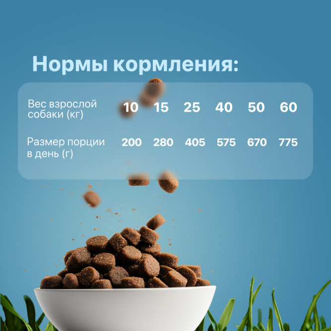 Дилли сухой корм для взрослых собак говяжья печень с овсянкой - 14 кг