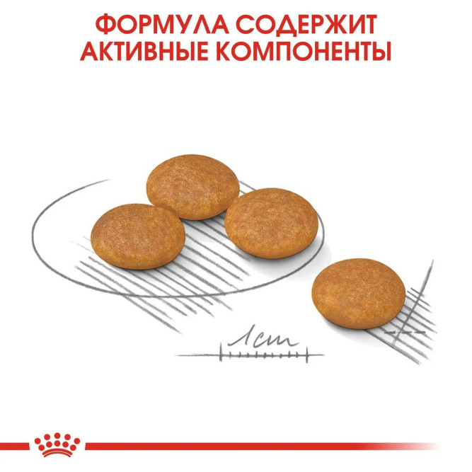 Royal Canin Mini Dermacomfort сухой корм для собак мелких пород, склонных к разражению кожи и зуду - 1 кг