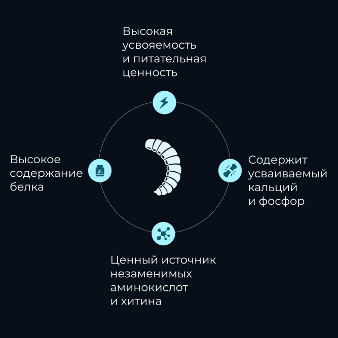 Yumster личинка черной львинки сушеная 10 мм - 30 г