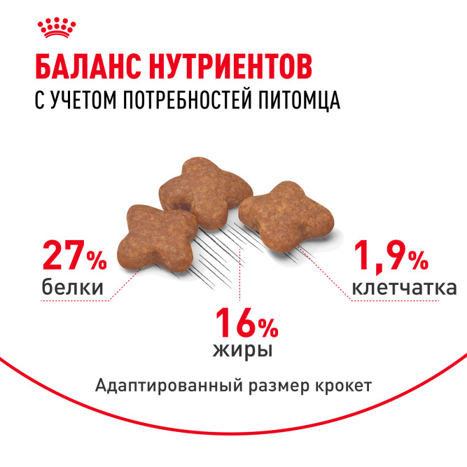 Royal Canin Mini Adult для поддержания физической формы собак мелких пород - 2 кг
