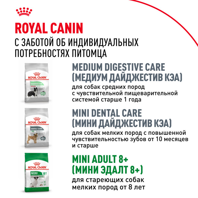 Royal Canin Mini Adult для поддержания физической формы собак мелких пород - 2 кг
