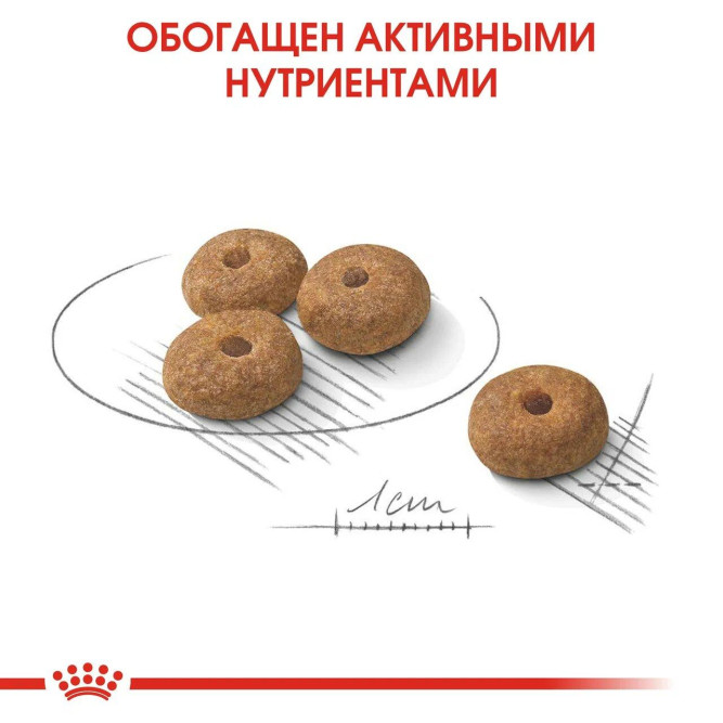 Royal Canin Mini Sterilised сухой корм для взрослых стерилизованных собак мелких пород - 3 кг