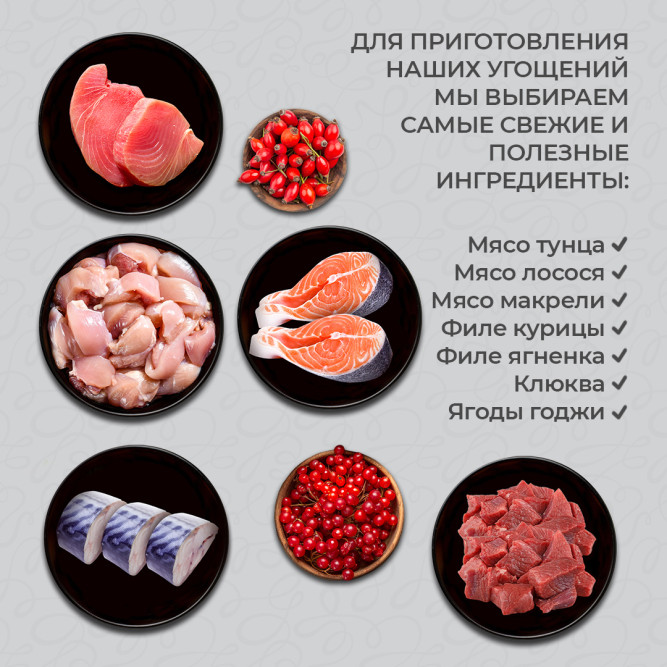 Prime Ever Holistic влажный корм для взрослых кошек с лососем и ягодами годжи в соусе, в паучах - 85 г х 24 шт