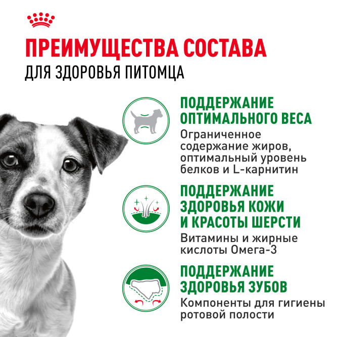 Royal Canin Mini Adult сухой корм для взрослых собак мелких пород - 8 кг