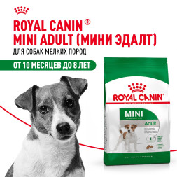 Royal Canin Mini Adult сухой корм для взрослых собак мелких пород - 8 кг